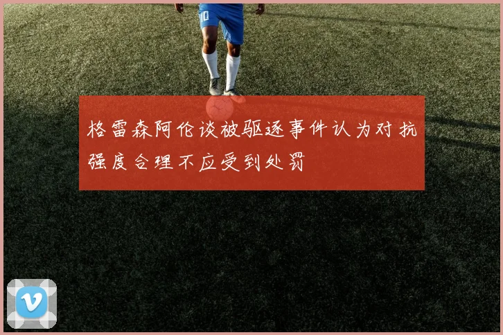 格雷森阿伦谈被驱逐事件认为对抗强度合理不应受到处罚